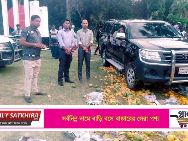 দেবহাটায় এসিল্যান্ডের উপস্থিতিতে ৪৮ ক্যারেট ক্যামিক্যাল মিশ্রিত আম বিনষ্ট