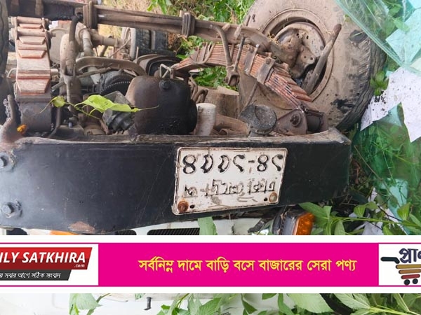 তালায় সড়ক দুর্ঘটনায় দাদা-নাতীর মৃত্যু