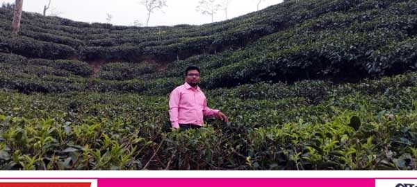 অধিকার বঞ্চিত বাংলাদেশের চা শ্রমিকরা