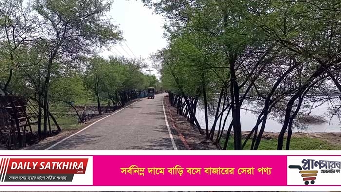 সাতক্ষীরার বদরতলা-টু-ব্যাংদহা রোডে প্রকৃতির অপার সৌন্দর্য