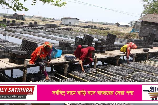সাতক্ষীরার উপকূলে এখনো বৈষম্যের শিকার নারী শ্রমিকরা