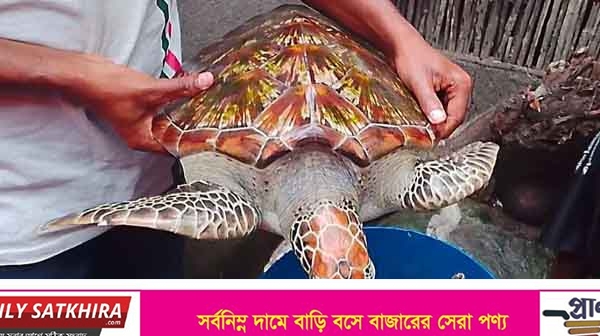 সুন্দরবনের নদীতে জেলের জালে ধরা পড়ল ১০ কেজির বিরল কচ্ছপ