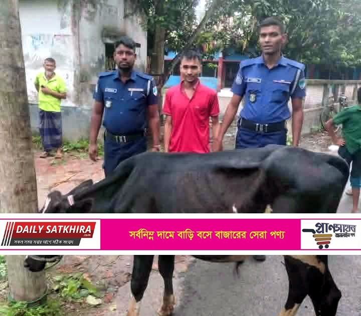 দেবহাটায় পুলিশের অভিযানে চোরাই গরুসহ আটক ১, থানায় মামলা