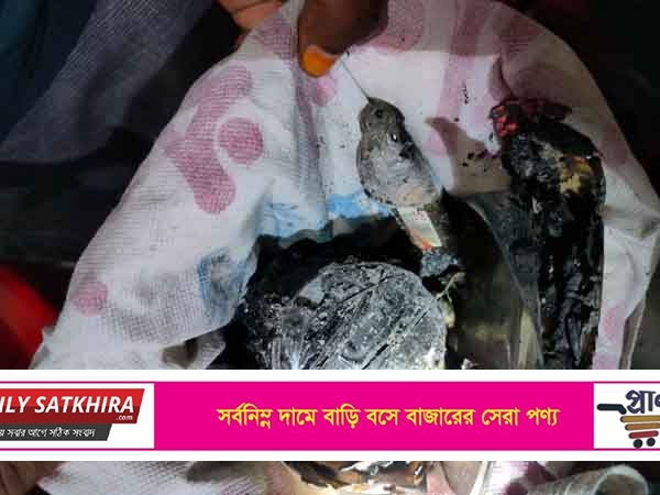 সাতক্ষীরার কালিগঞ্জে বিএনপির দলীয় কার্যালয়ে ককটেল বিস্ফোরন