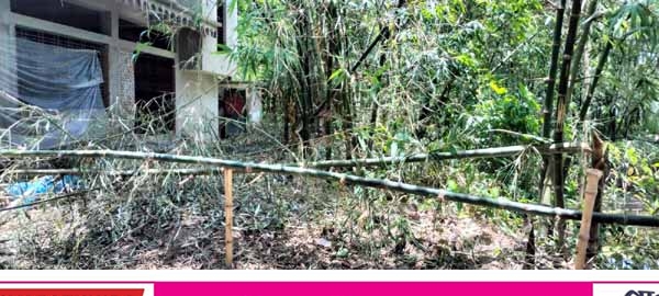 আদালতের আদেশ অমান্য করে বাঁশদহে পৈত্রিক জমি জবর দখলের অভিযোগ