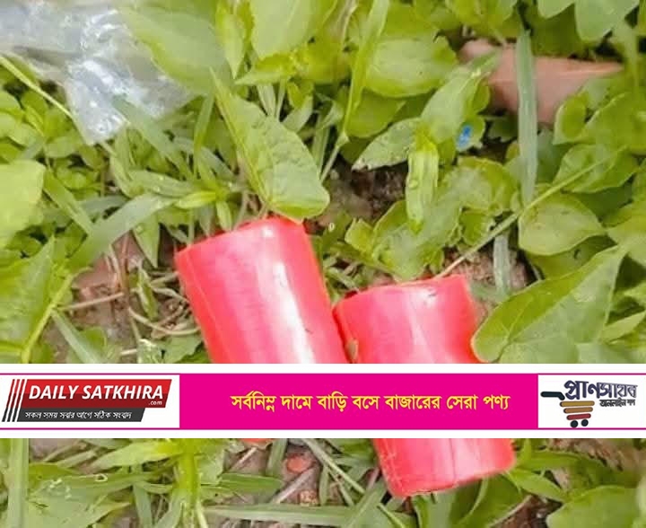 কালীগঞ্ঞ্জের মথুরেশপুর ইউনিয়নের দুদলী বিএনপি অফিসের সামনে থেকে দুটি অবিস্ফোরিত ককটেল উদ্ধার