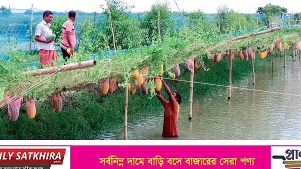 দেবহাটায় অপসিজন তরমুজ চাষে স্বাবলম্বী হচ্ছেন চাষীরা