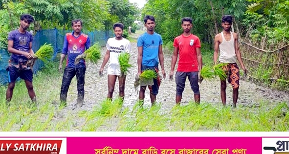 শ্যামনগরে রাস্তা সংস্কার না হওয়ায় ধান রোপন করে প্রতিবাদ