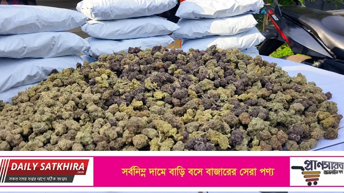 মারিজুয়ানা ফুল থেকে তৈরি বিশেষ মাদক কুশ জব্দ,আটক-১