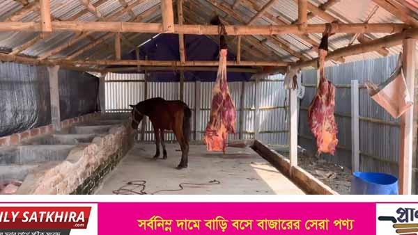সাতক্ষীরায় ঘোড়ার মাংস গরু বলে বিক্রির অভিযোগে এক ব্যক্তি আটক
