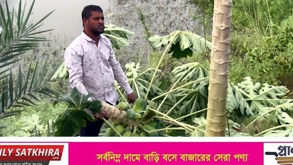সাতক্ষীরায় জামায়াত নেতার নেতৃত্বে ঘের লুটপাটের অভিযোগ : ১০ লাখ টাকার ক্ষতি