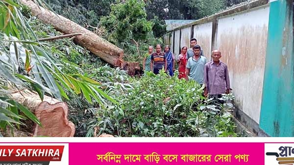 তালার ধানদিয়ায় ত্রাস সৃষ্টি করে ২লক্ষ টাকা মূল্যের গাছ কাটার অভিযোগ